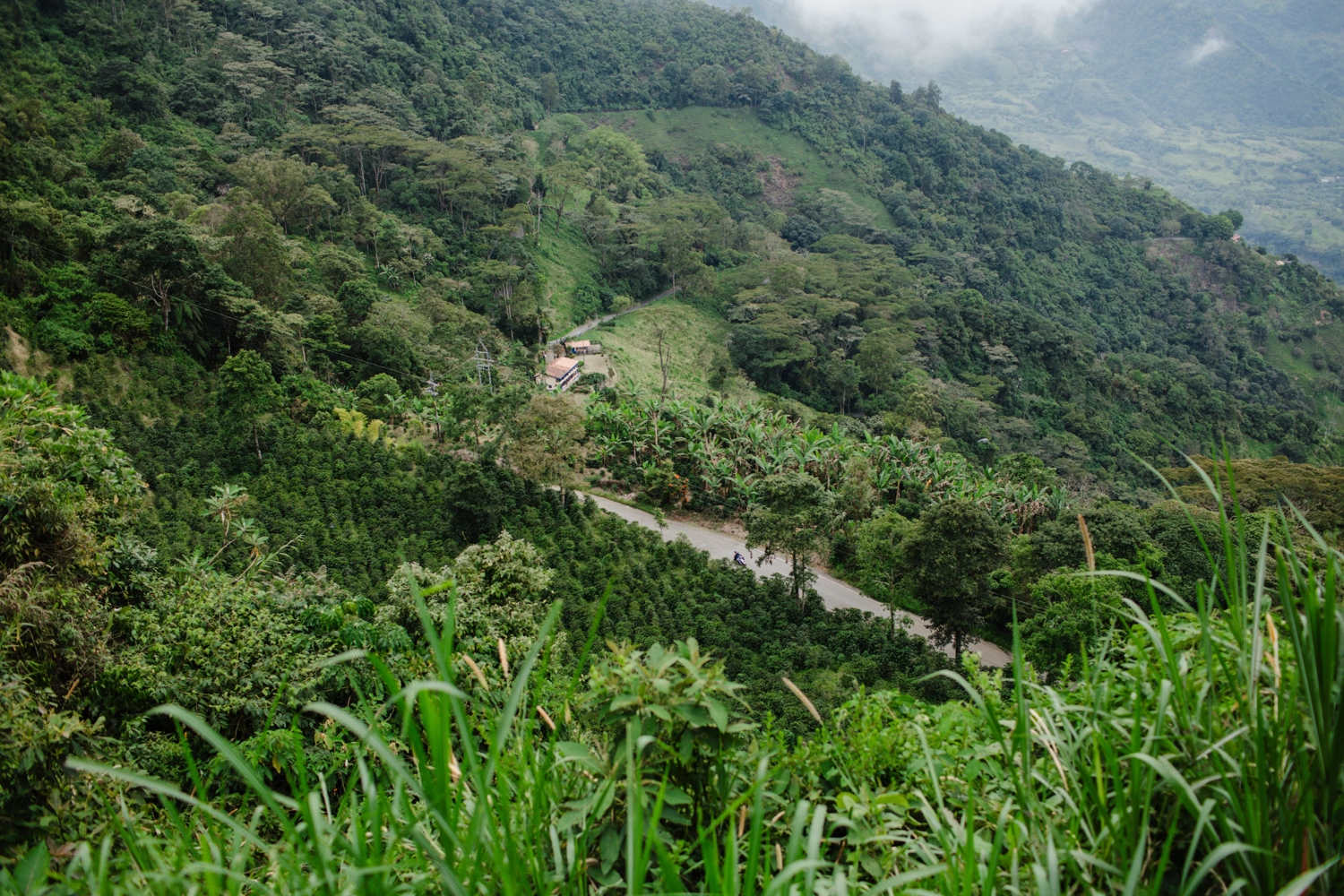 Antioquia, Colombia.