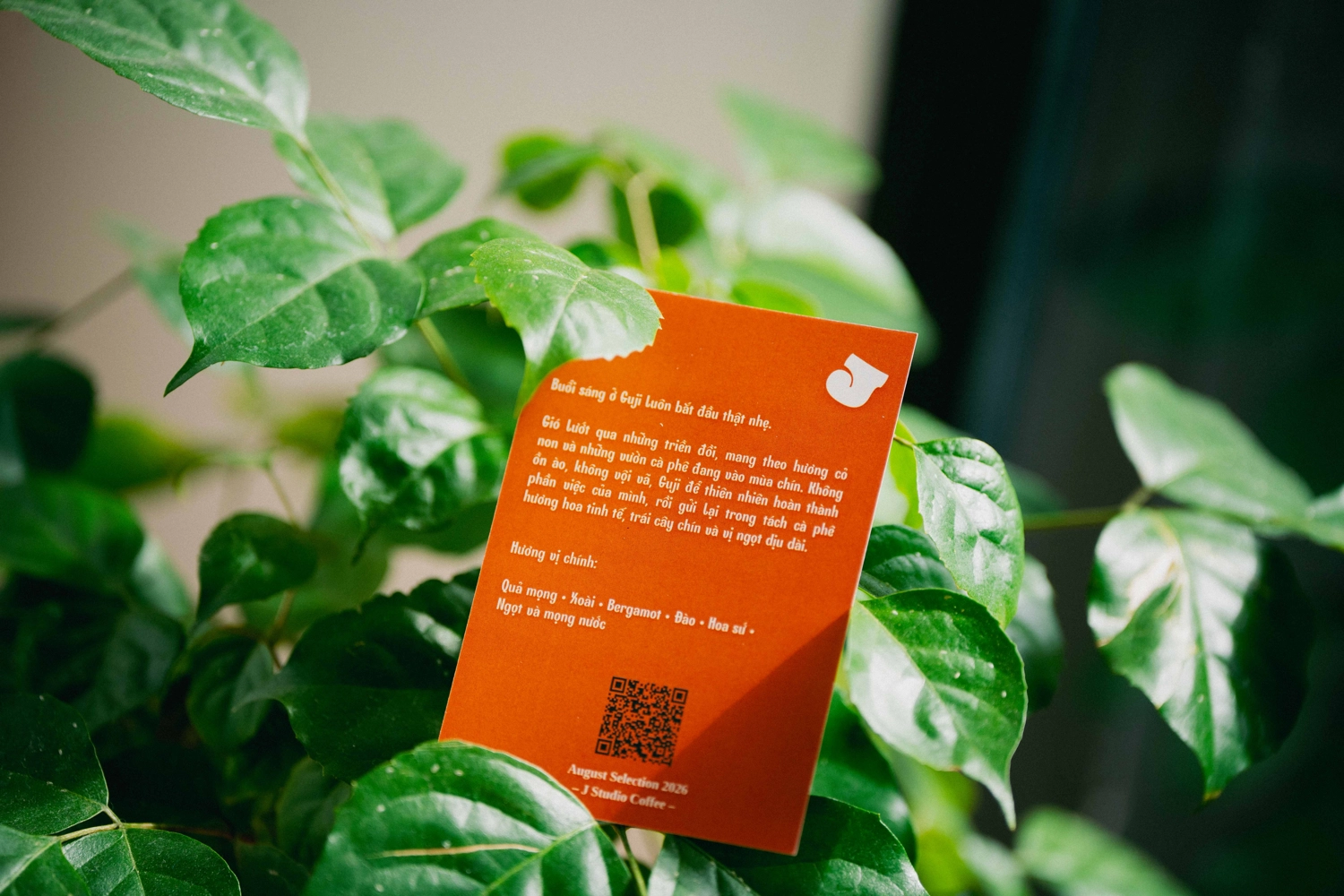 hương vị c&agrave; ph&ecirc;