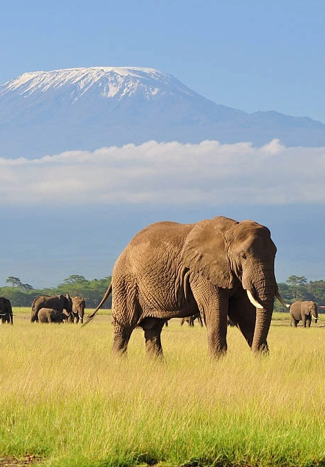 Kenya