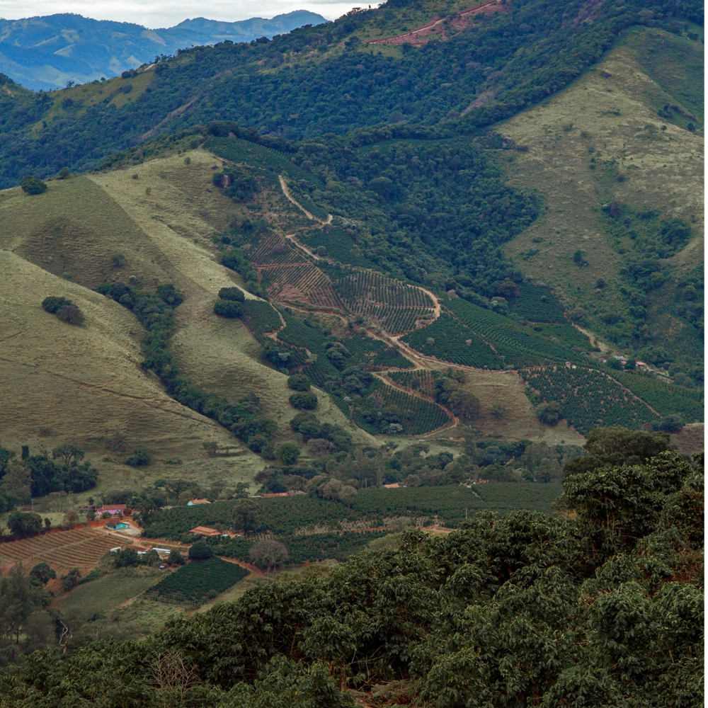 CÀ PHÊ COLOMBIA