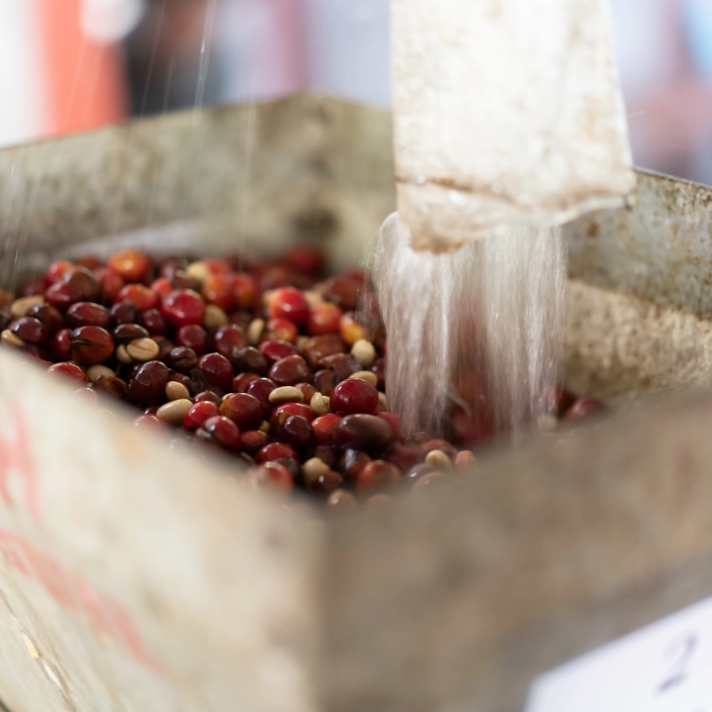 PHƯƠNG PHÁP CHẾ BIẾN