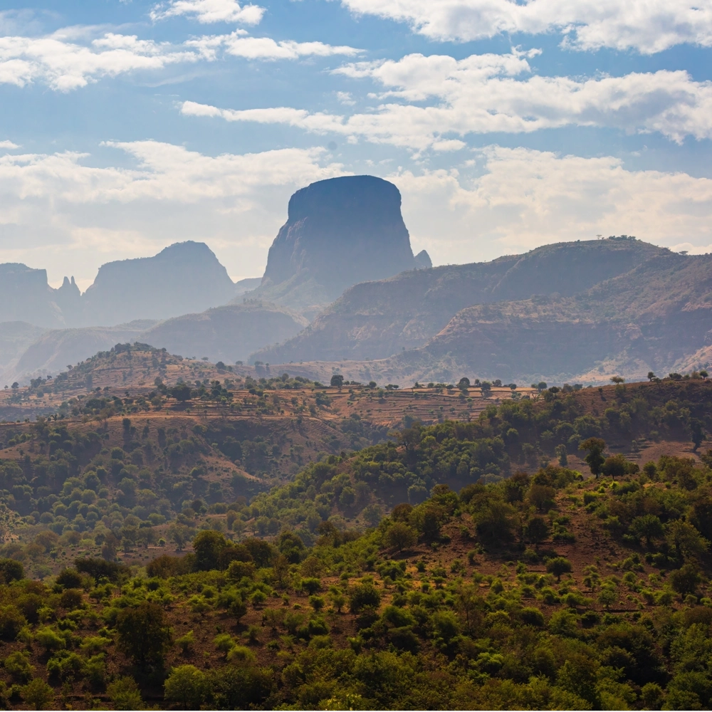 Ethiopia tại Juro